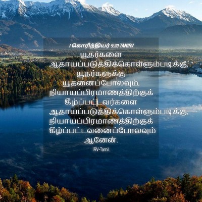 Picture 04 - 1 கொரிந்தியர் 9:20 TAMIRV - யூதர்களை - Bible Verse Picture