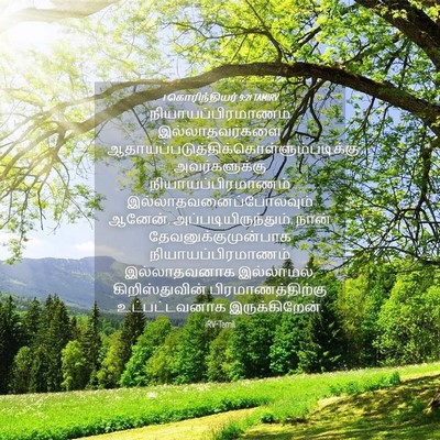 Picture 04 - 1 கொரிந்தியர் 9:21 TAMIRV - நியாயப்பிரமாணம் - Bible Verse Picture