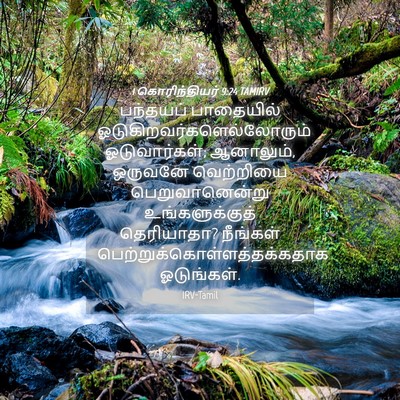 Picture 04 - 1 கொரிந்தியர் 9:24 TAMIRV - பந்தயப் பாதையில் - Bible Verse Picture