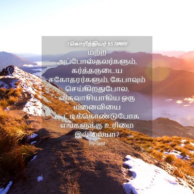 Picture 04 - 1 கொரிந்தியர் 9:5 TAMIRV - மற்ற - Bible Verse Picture