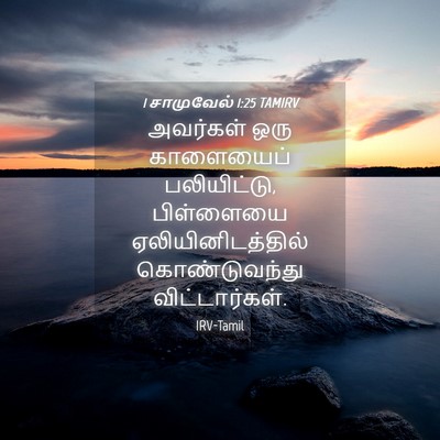 Picture 04 - 1 சாமுவேல் 1:25 TAMIRV - அவர்கள் ஒரு - Bible Verse Picture