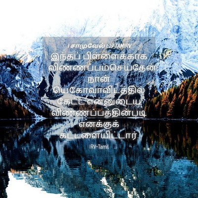 Picture 04 - 1 சாமுவேல் 1:27 TAMIRV - இந்தப் - Bible Verse Picture