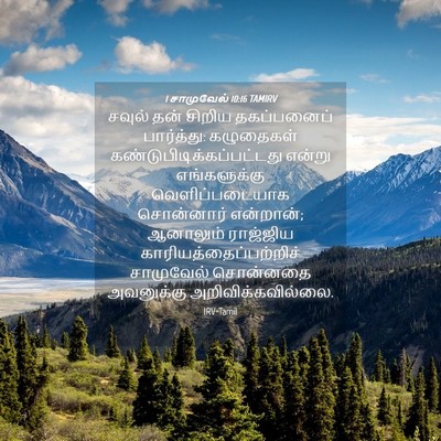 Picture 04 - 1 சாமுவேல் 10:16 TAMIRV - சவுல் தன் சிறிய - Bible Verse Picture