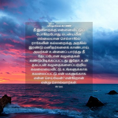Picture 04 - 1 சாமுவேல் 10:2 TAMIRV - நீ இன்றைக்கு - Bible Verse Picture