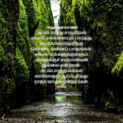 Picture 04 - 1 சாமுவேல் 10:24 TAMIRV - அப்பொழுது - Bible Verse Picture