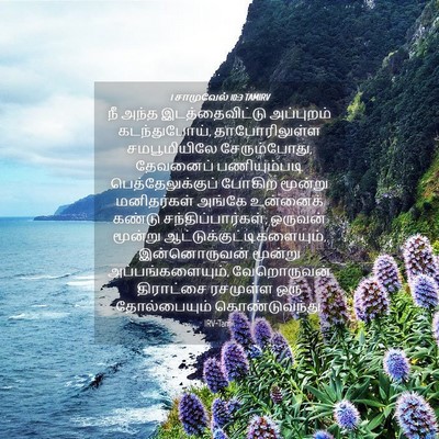 Picture 04 - 1 சாமுவேல் 10:3 TAMIRV - நீ அந்த - Bible Verse Picture
