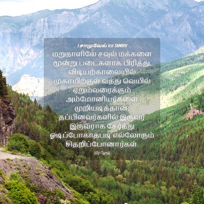 Picture 04 - 1 சாமுவேல் 11:11 TAMIRV - மறுநாளிலே சவுல் - Bible Verse Picture