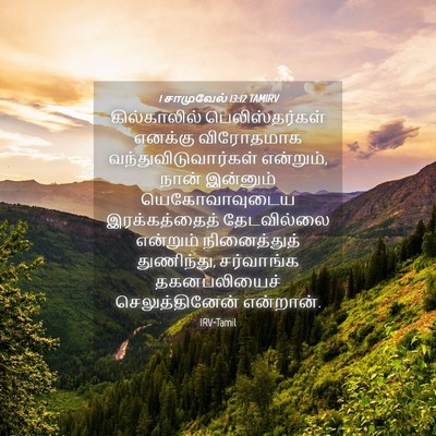 Picture 04 - 1 சாமுவேல் 13:12 TAMIRV - கில்காலில் - Bible Verse Picture