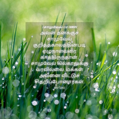 Picture 04 - 1 சாமுவேல் 13:8 TAMIRV - அவன் தனக்குச் - Bible Verse Picture