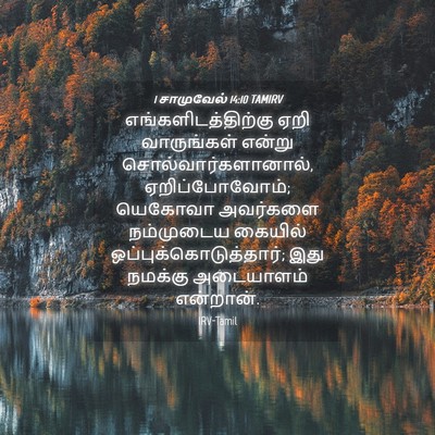 Picture 04 - 1 சாமுவேல் 14:10 TAMIRV - எங்களிடத்திற்கு - Bible Verse Picture