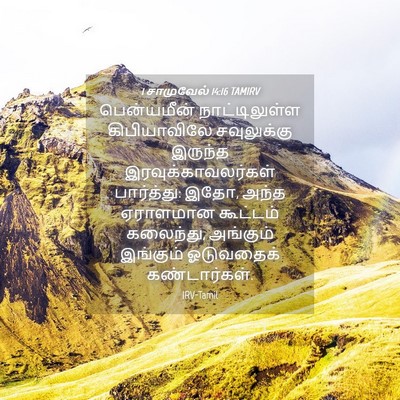 Picture 04 - 1 சாமுவேல் 14:16 TAMIRV - பென்யமீன் - Bible Verse Picture