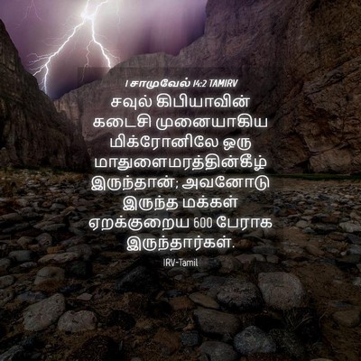 Picture 04 - 1 சாமுவேல் 14:2 TAMIRV - சவுல் கிபியாவின் - Bible Verse Picture