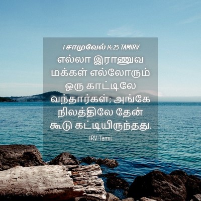 Picture 04 - 1 சாமுவேல் 14:25 TAMIRV - எல்லா இராணுவ - Bible Verse Picture