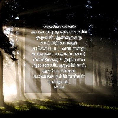 Picture 04 - 1 சாமுவேல் 14:28 TAMIRV - அப்பொழுது - Bible Verse Picture