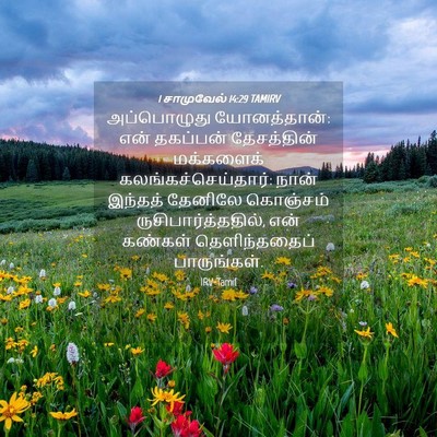 Picture 04 - 1 சாமுவேல் 14:29 TAMIRV - அப்பொழுது - Bible Verse Picture