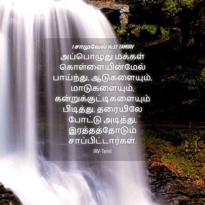 Picture 04 - 1 சாமுவேல் 14:32 TAMIRV - அப்பொழுது மக்கள் - Bible Verse Picture