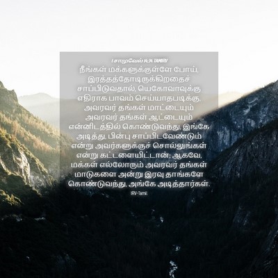 Picture 04 - 1 சாமுவேல் 14:34 TAMIRV - நீங்கள் - Bible Verse Picture