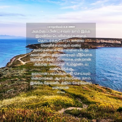 Picture 04 - 1 சாமுவேல் 14:36 TAMIRV - அதற்குப்பின்பு - Bible Verse Picture