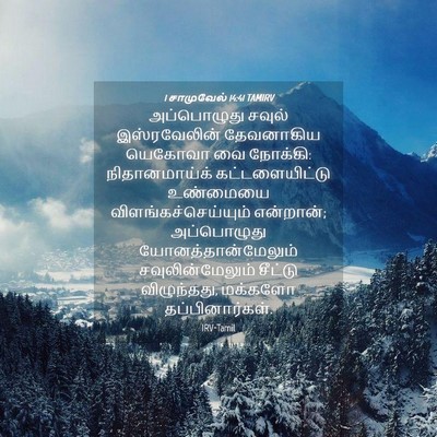 Picture 04 - 1 சாமுவேல் 14:41 TAMIRV - அப்பொழுது சவுல் - Bible Verse Picture