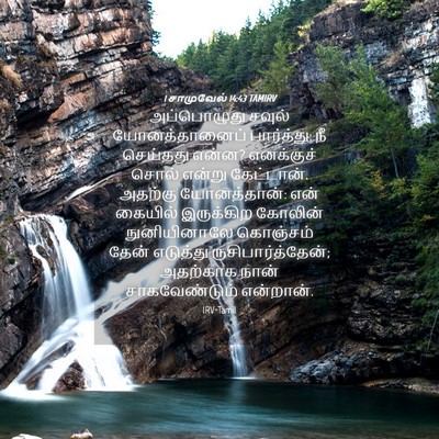 Picture 04 - 1 சாமுவேல் 14:43 TAMIRV - அப்பொழுது சவுல் - Bible Verse Picture
