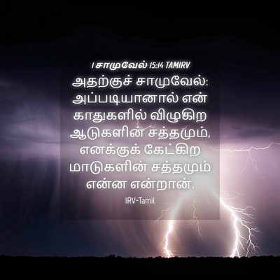 Picture 04 - 1 சாமுவேல் 15:14 TAMIRV - அதற்குச் - Bible Verse Picture