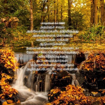 Picture 04 - 1 சாமுவேல் 15:15 TAMIRV - அதற்குச் சவுல்: - Bible Verse Picture