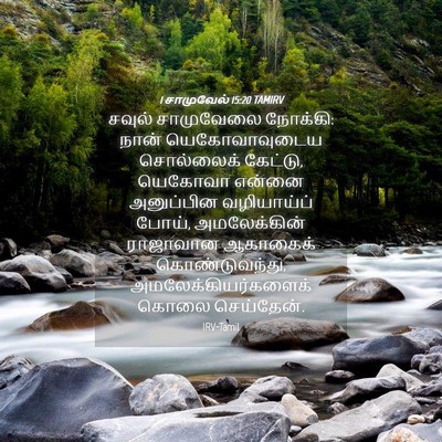 Picture 04 - 1 சாமுவேல் 15:20 TAMIRV - சவுல் சாமுவேலை - Bible Verse Picture