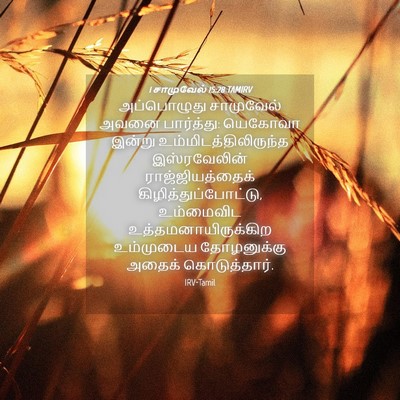 Picture 04 - 1 சாமுவேல் 15:28 TAMIRV - அப்பொழுது - Bible Verse Picture