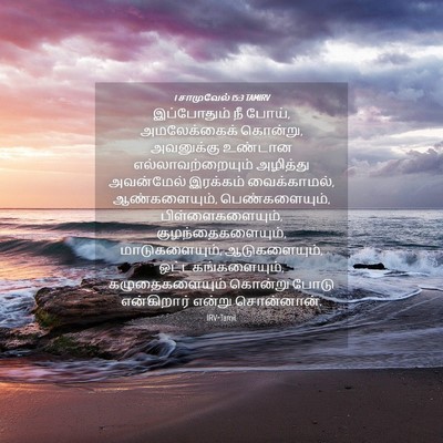 Picture 04 - 1 சாமுவேல் 15:3 TAMIRV - இப்போதும் நீ போய், - Bible Verse Picture