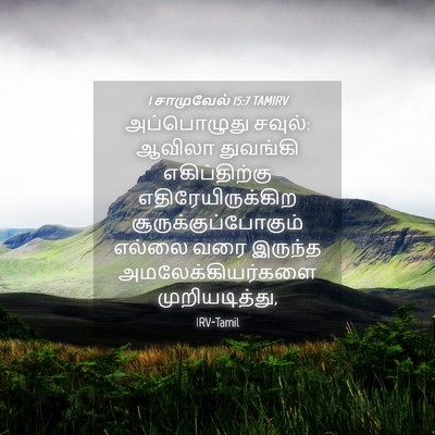 Picture 04 - 1 சாமுவேல் 15:7 TAMIRV - அப்பொழுது சவுல்: - Bible Verse Picture