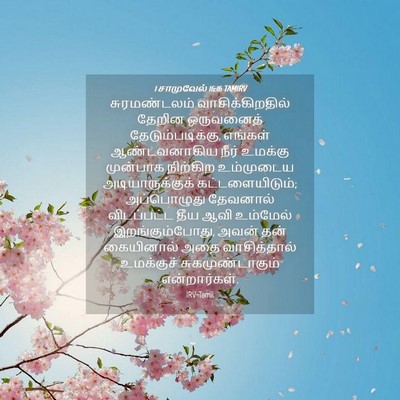 Picture 04 - 1 சாமுவேல் 16:16 TAMIRV - சுரமண்டலம் - Bible Verse Picture