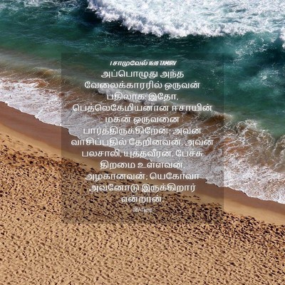 Picture 04 - 1 சாமுவேல் 16:18 TAMIRV - அப்பொழுது அந்த - Bible Verse Picture