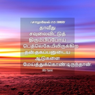 Picture 04 - 1 சாமுவேல் 17:15 TAMIRV - தாவீது - Bible Verse Picture