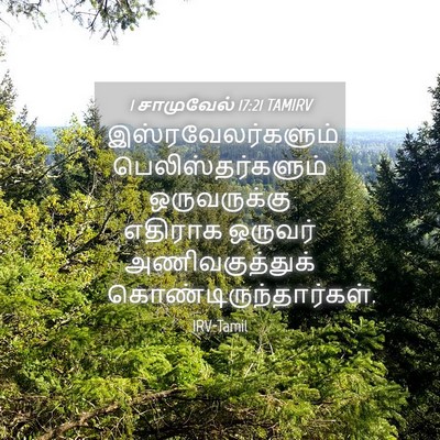 Picture 04 - 1 சாமுவேல் 17:21 TAMIRV - இஸ்ரவேலர்களும் - Bible Verse Picture