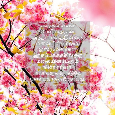 Picture 04 - 1 சாமுவேல் 17:3 TAMIRV - பெலிஸ்தர்கள் - Bible Verse Picture