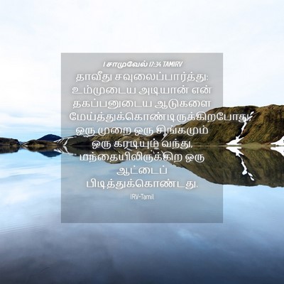 Picture 04 - 1 சாமுவேல் 17:34 TAMIRV - தாவீது - Bible Verse Picture