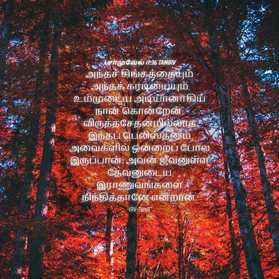 Picture 04 - 1 சாமுவேல் 17:36 TAMIRV - அந்தச் - Bible Verse Picture