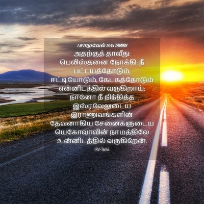 Picture 04 - 1 சாமுவேல் 17:45 TAMIRV - அதற்குத் தாவீது: - Bible Verse Picture