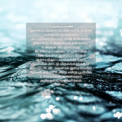 Picture 04 - 1 சாமுவேல் 17:46 TAMIRV - இன்றையதினம் - Bible Verse Picture