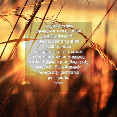 Picture 04 - 1 சாமுவேல் 17:7 TAMIRV - அவனுடைய ஈட்டியின் - Bible Verse Picture