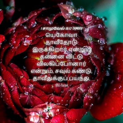 Picture 04 - 1 சாமுவேல் 18:12 TAMIRV - யெகோவா தாவீதோடு - Bible Verse Picture