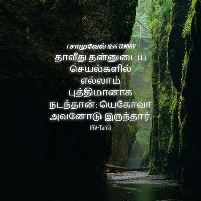 Picture 04 - 1 சாமுவேல் 18:14 TAMIRV - தாவீது தன்னுடைய - Bible Verse Picture