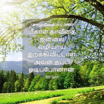 Picture 04 - 1 சாமுவேல் 19:12 TAMIRV - மீகாள் தாவீதை - Bible Verse Picture