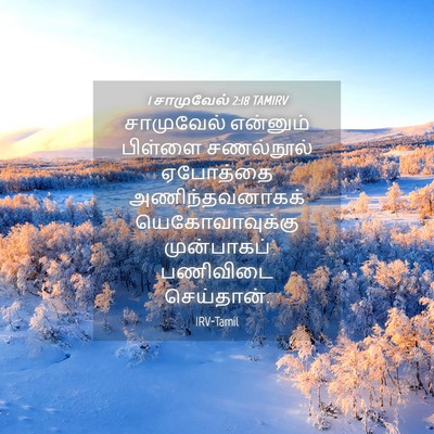Picture 04 - 1 சாமுவேல் 2:18 TAMIRV - சாமுவேல் என்னும் - Bible Verse Picture