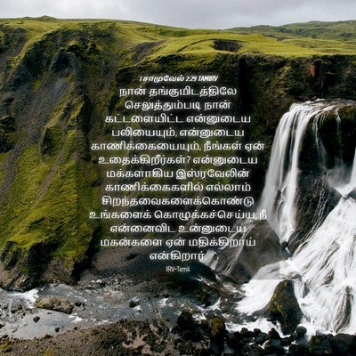 Picture 04 - 1 சாமுவேல் 2:29 TAMIRV - நான் - Bible Verse Picture