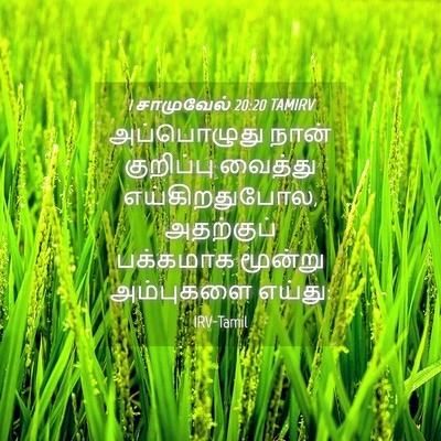 Picture 04 - 1 சாமுவேல் 20:20 TAMIRV - அப்பொழுது நான் - Bible Verse Picture