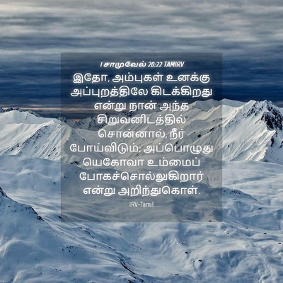 Picture 04 - 1 சாமுவேல் 20:22 TAMIRV - இதோ, அம்புகள் - Bible Verse Picture