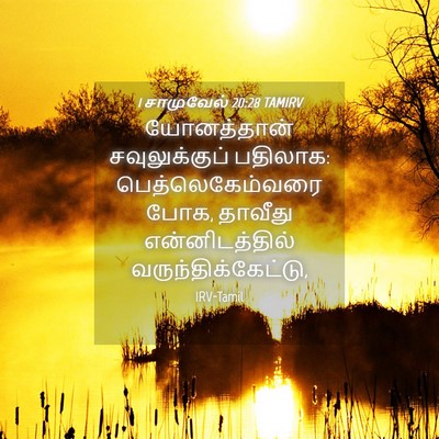 Picture 04 - 1 சாமுவேல் 20:28 TAMIRV - யோனத்தான் - Bible Verse Picture