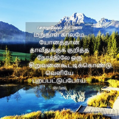 Picture 04 - 1 சாமுவேல் 20:35 TAMIRV - மறுநாள் காலமே, - Bible Verse Picture