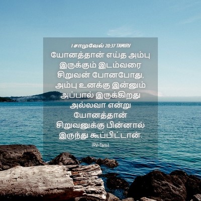Picture 04 - 1 சாமுவேல் 20:37 TAMIRV - யோனத்தான் எய்த - Bible Verse Picture